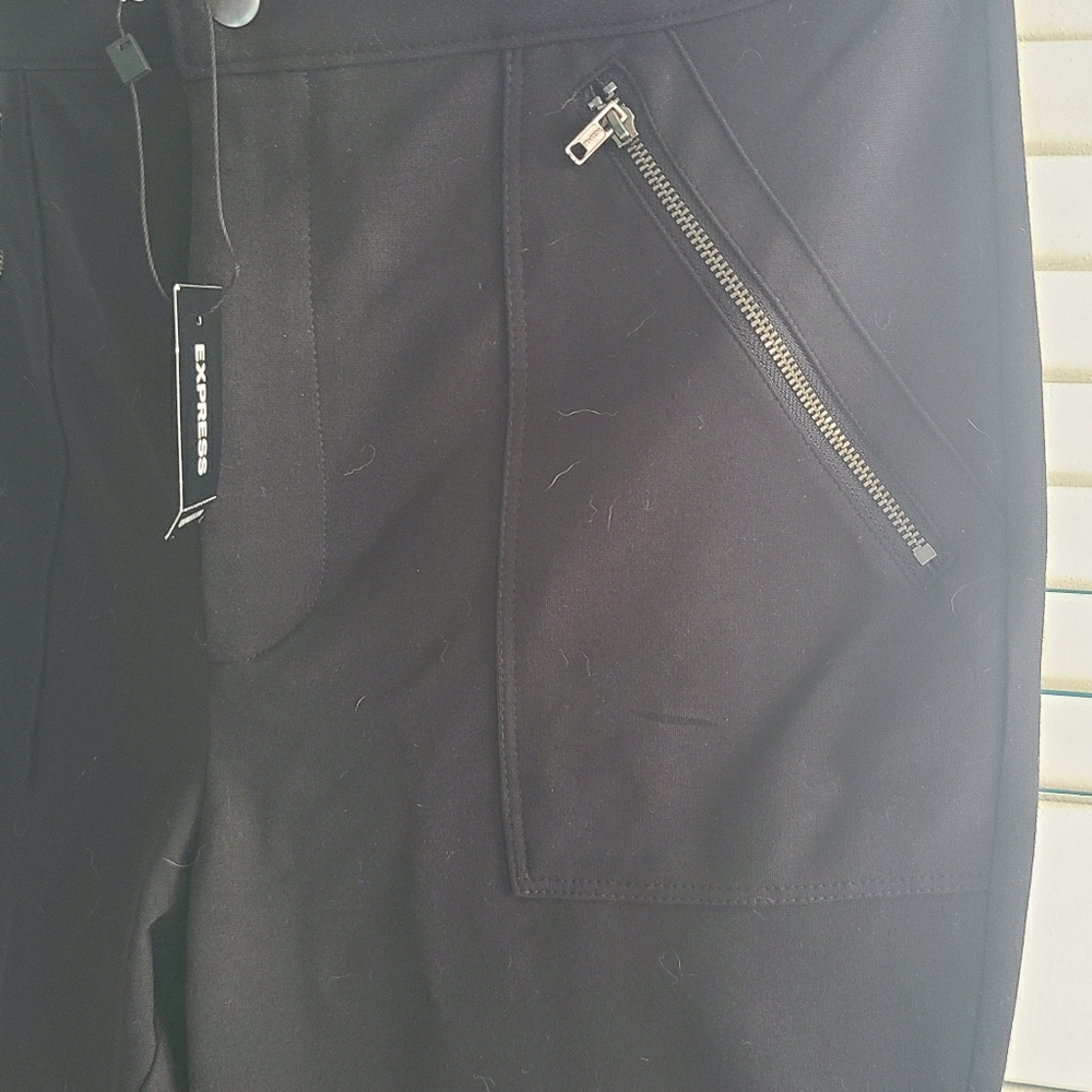 Express portfolio pants